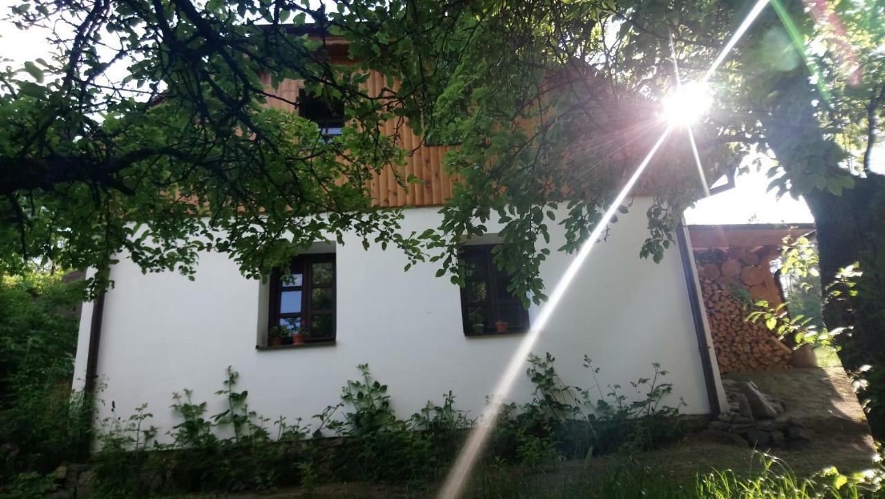 Forest Rustic Apartment Brdy Vesin Bagian luar foto